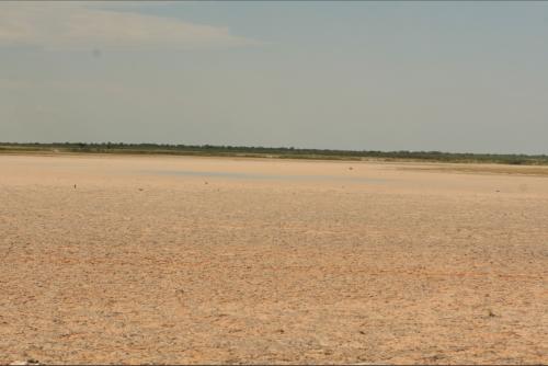 Etosha is very diverse in terms of landscape