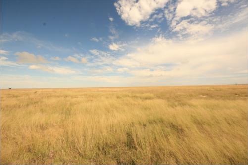 again beautiful, Etosha comes up with a vast viarity of landscapes