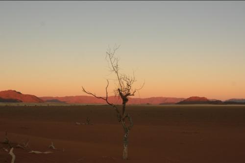 desert in sunset light